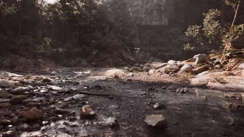 Capturer le paysage serein des rives luxuriantes de Madagascar à l'aube