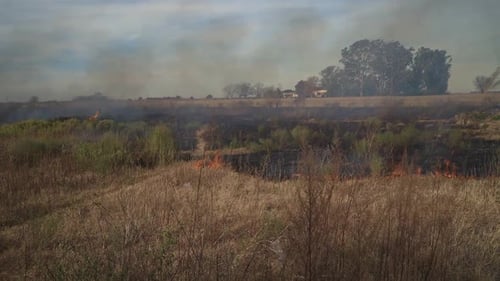 Grass fire