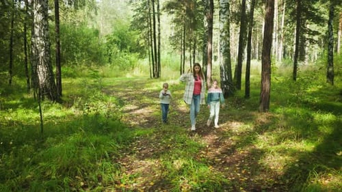 Boy Filming While Family Walks Together in Forest Trail
