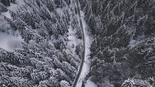 Winterwaldstraße aus der Luft
