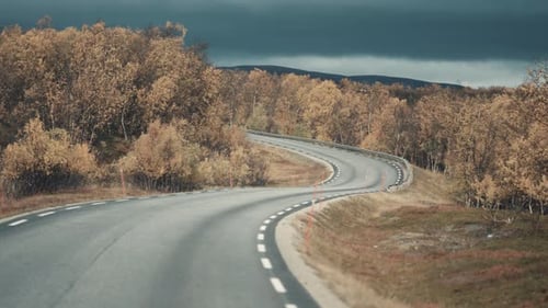 Drive on the narrow country road through the forest-covered pale autumn landscape. slow-motion, view