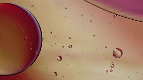 Abstract Colorful Organic Food Oil Drops Bubbles On Water Surface 005