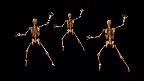 Three Skeleton Falling