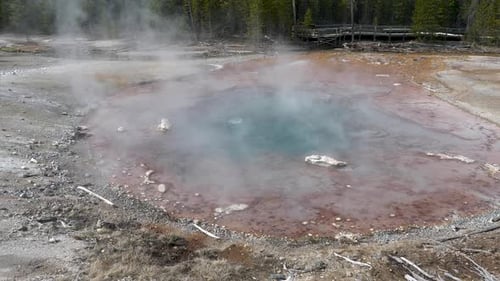 Hot Spring in Yellowstone National Park