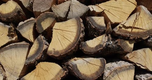 Close-up of Stacked Cut Firewood