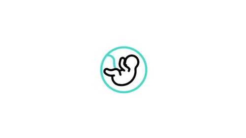 Embryo Animated Icon