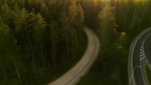 An Aerial View of a Forest Road Curving Through Trees at Sunset Capturing the Tranquil Beauty of the
