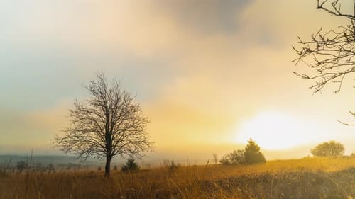 Foggy or misty sunrise in wild rural landscape in early morning, timelapse