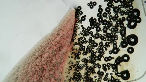 Macro Chemical Reaction: Dissolving Tablet with Effervescent Bubbles