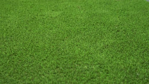 Close up shot of fake astro turf grass which is perfectly made at the correct length and all the sam
