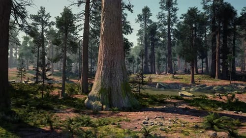 A Vibrant Forest with a Dense Canopy of Trees