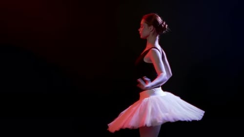 Romantic Ballerina Performing Beautiful Dance in Theatre Grace and Tenderness Pretty Female Ballet