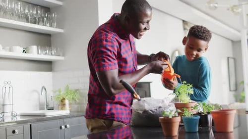 Man and Boy Gardening Together in Kitchen