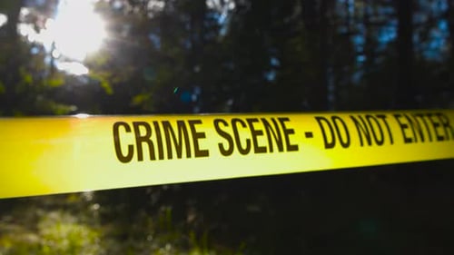 Trees filtered light highlights the crime scene tape, below moving view. Blurred wooded background