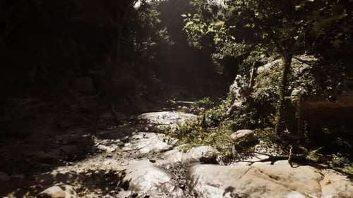Mystical Forest Walkway Navigating Through Vibrant Foliage to Glowing Light