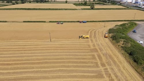 Harvesting Season in Rural United Kingdom