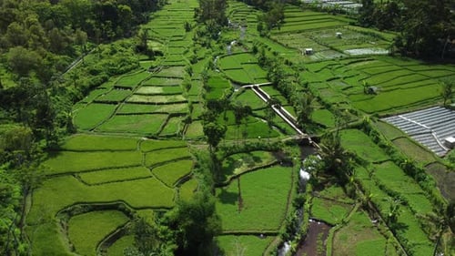 Drone captured the aerial view of several green little fields spread across a large area where many