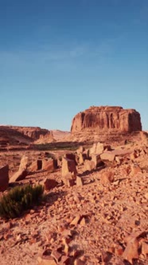 Arid Nevada Desert Landscape With Rocks and Plants