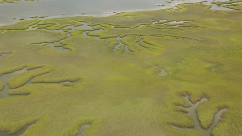 Georgia coastal wetlands abstract patterns from above filmed with red 8k camera