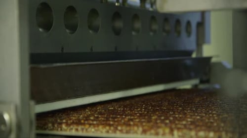 divided mass of candy filling on a conveyor line going through cutting machine