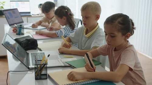 Schoolchildren Doing Test during Programming Class