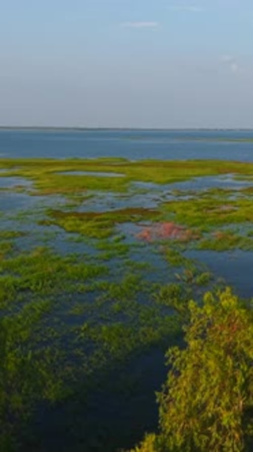 Tranquil Flooded Grasslands Reflecting the Colorful Sky at Sunset a Drone View