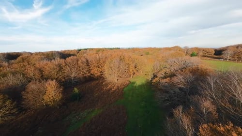 Bird's Eye Over Fall Forest