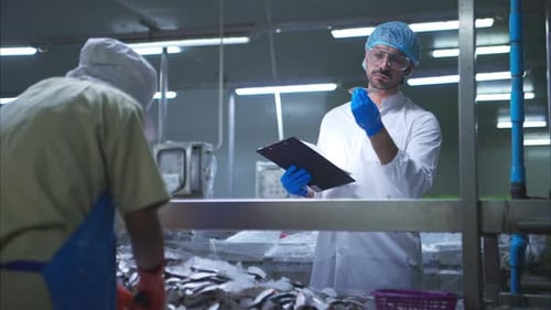 Les inspecteurs de la qualité des matières premières évaluent et inspectent les morceaux de poisson
