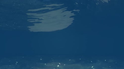 Underwater animated background. Sunlight shine through ocean waves.