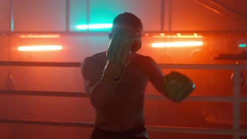 Boxer Master Fight