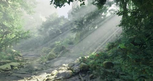 Moody Forest with Sunlight Streaming Through Trees in a Serene Landscape