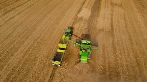 Tractor following a combine harvester collecting crops on a field during a summer harvest, creating
