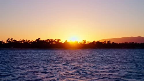Silhouette von Bäumen in Ufernähe bei Sonnenuntergang
