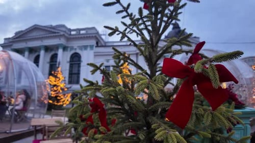 Red christmas decorations with fir tree branch in the evening