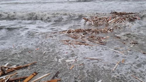 The Sea with Fragments of Wood Boards Raging Rolls in Foaming Waves on the Pebbly Seashore During a