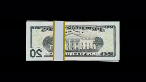 20 Dollar Bundle Loop Animation On Transparent Background