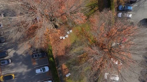 Experience the Breathtaking Aerial View Showcasing the Stunning Fall Foliage in Woodstock Vermont