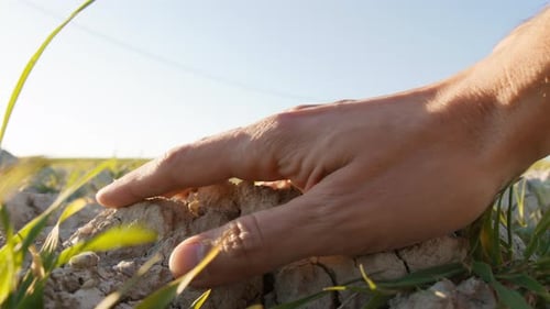 Hand Touching Dry Cracked Soil with Grass
