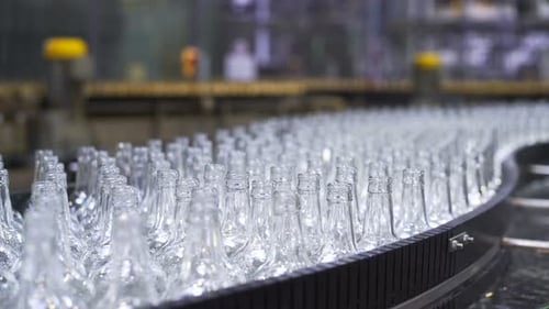 Automated beer bottles moving along a conveyor line in a modern brewery