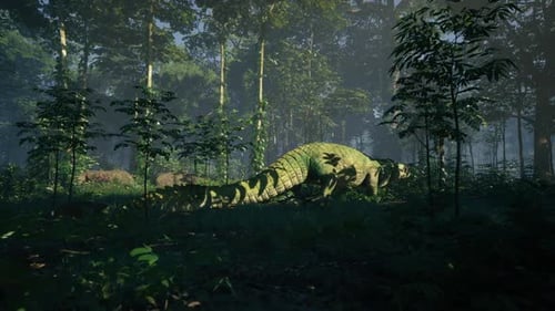 Crocodile se reposant dans la forêt sous la lumière du soleil matinal