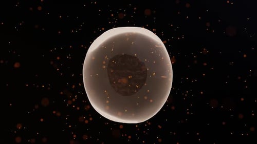 Core In Membrane With Orange Particles Loop