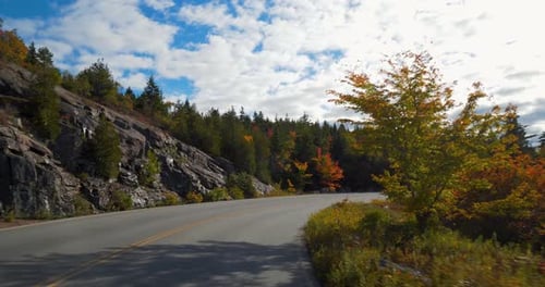 Driving Along Mountain Road, Forest Wilderness Drive Acadia