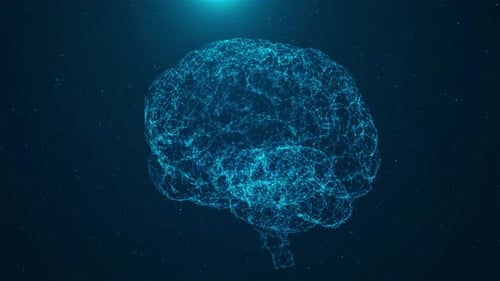 Digital Brain Network Connection Technology Animation