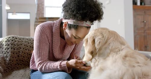 Woman Loving her Golden Retriever Dog at Home