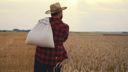 Hombre granjero con bolsa de trigo en el campo Trabajador agrícola con sombrero de paja sosteniendo una bolsa de grano: Vista posterior