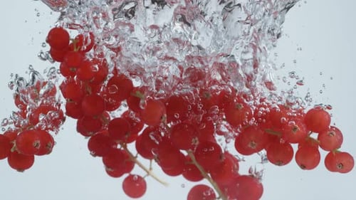 Red Currants Plunge Into Water Creating Bubbles