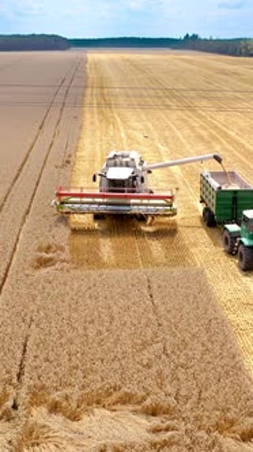 Machines agricoles travaillant sur le terrain en été.