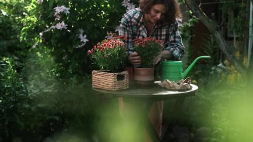 Container Gardening Person Transplanting Flowering Plant in Pot