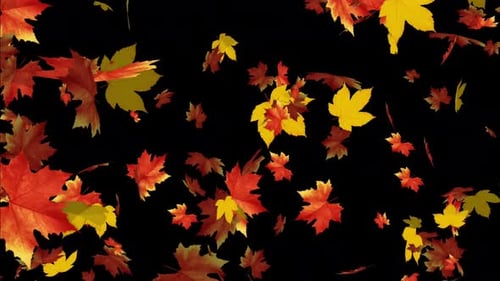 Realistic Falling Autumn Leaves Seasonal Background Animation