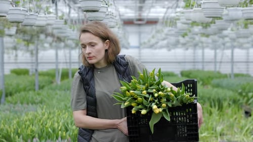 Fleuriste féminine heureuse tenant une caisse de tulipes jaunes fraîches